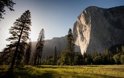 La Influencia de la Naturaleza en tu Bienestar Mental: Explora sus Efectos